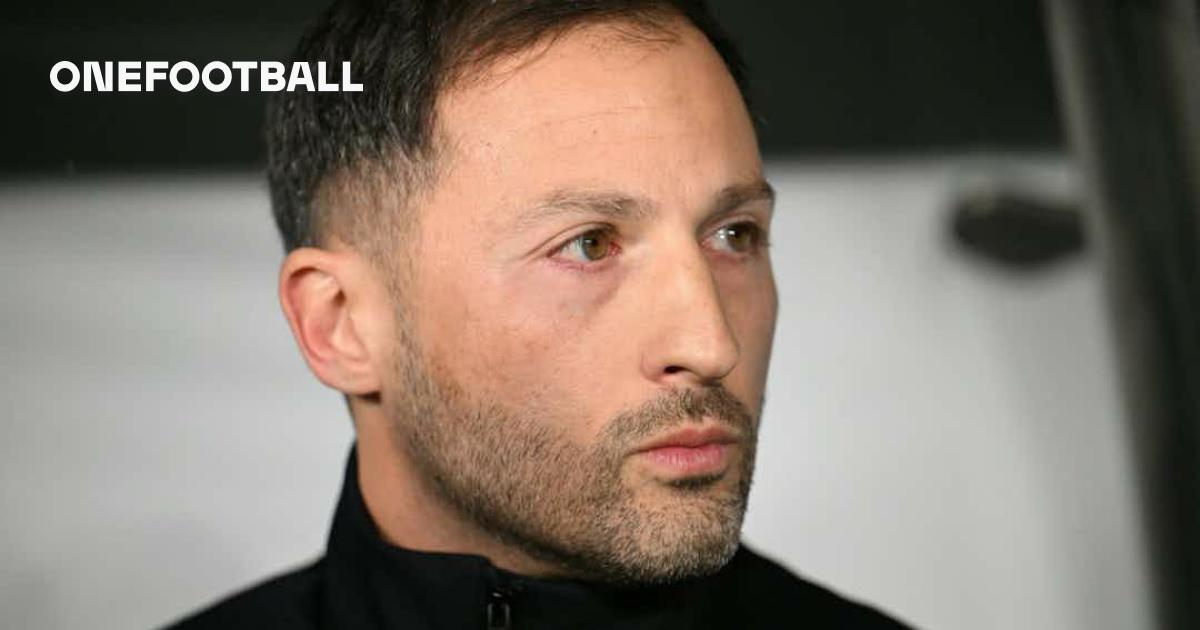 Fenerbahce: Live Scores, Fixtures, and League Performance